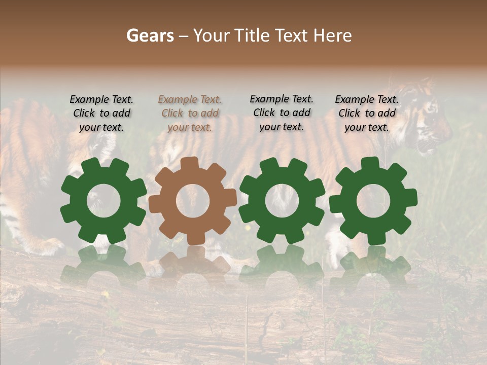 Sportive Asia Siberian PowerPoint Template