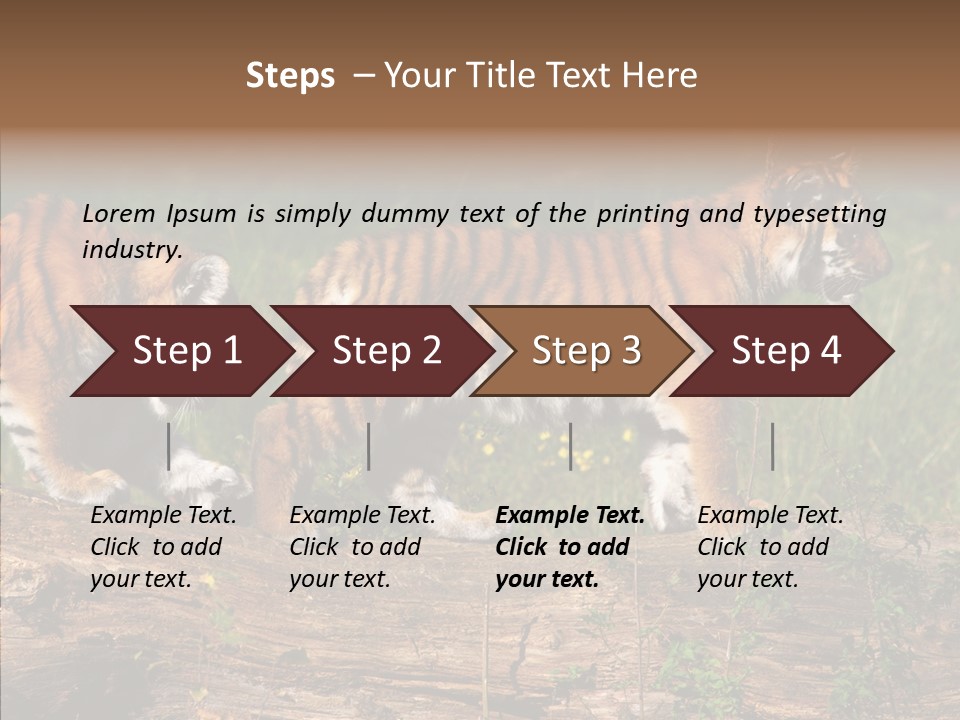 Sportive Asia Siberian PowerPoint Template