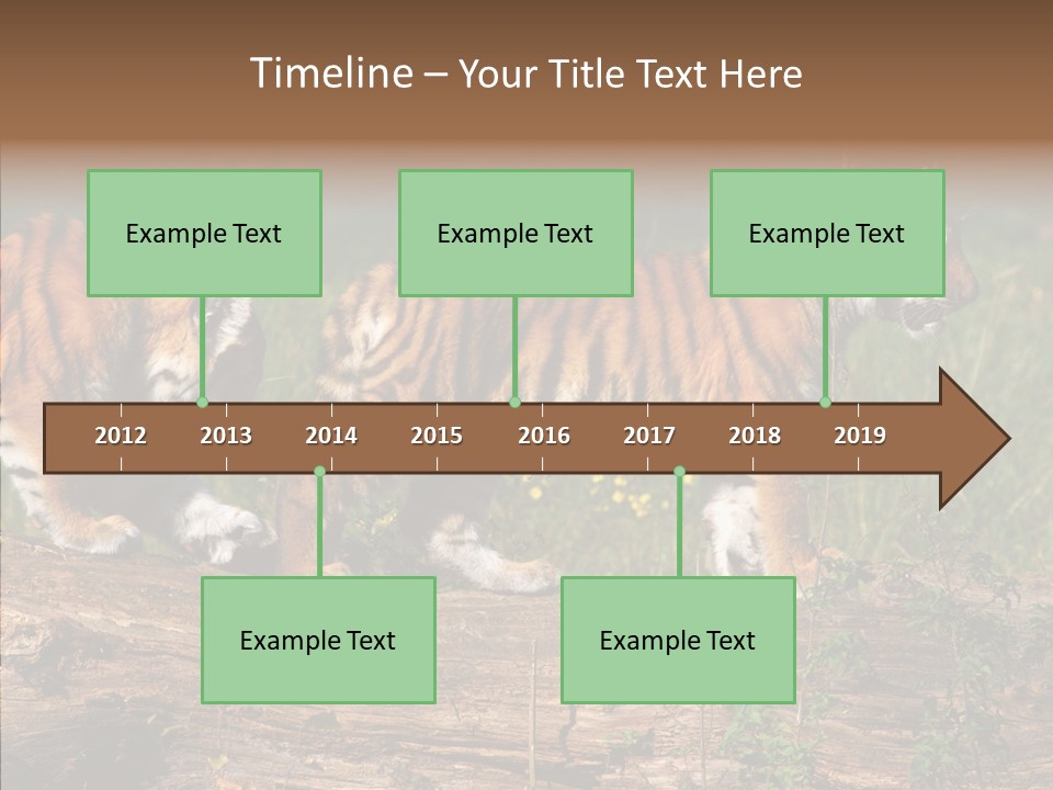 Sportive Asia Siberian PowerPoint Template