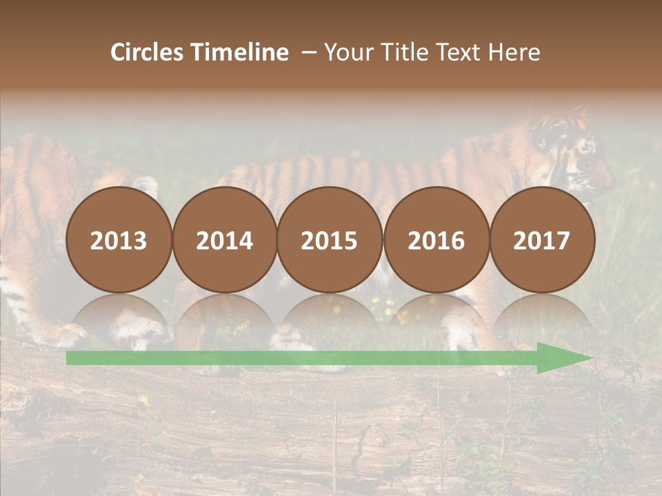 Sportive Asia Siberian PowerPoint Template