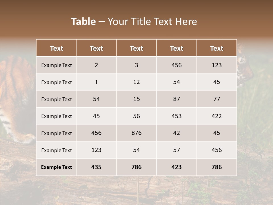 Sportive Asia Siberian PowerPoint Template