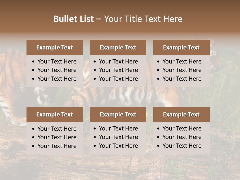 Sportive Asia Siberian PowerPoint Template