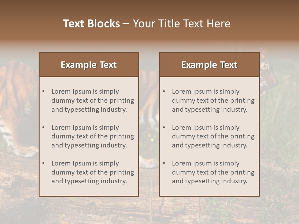 Sportive Asia Siberian PowerPoint Template