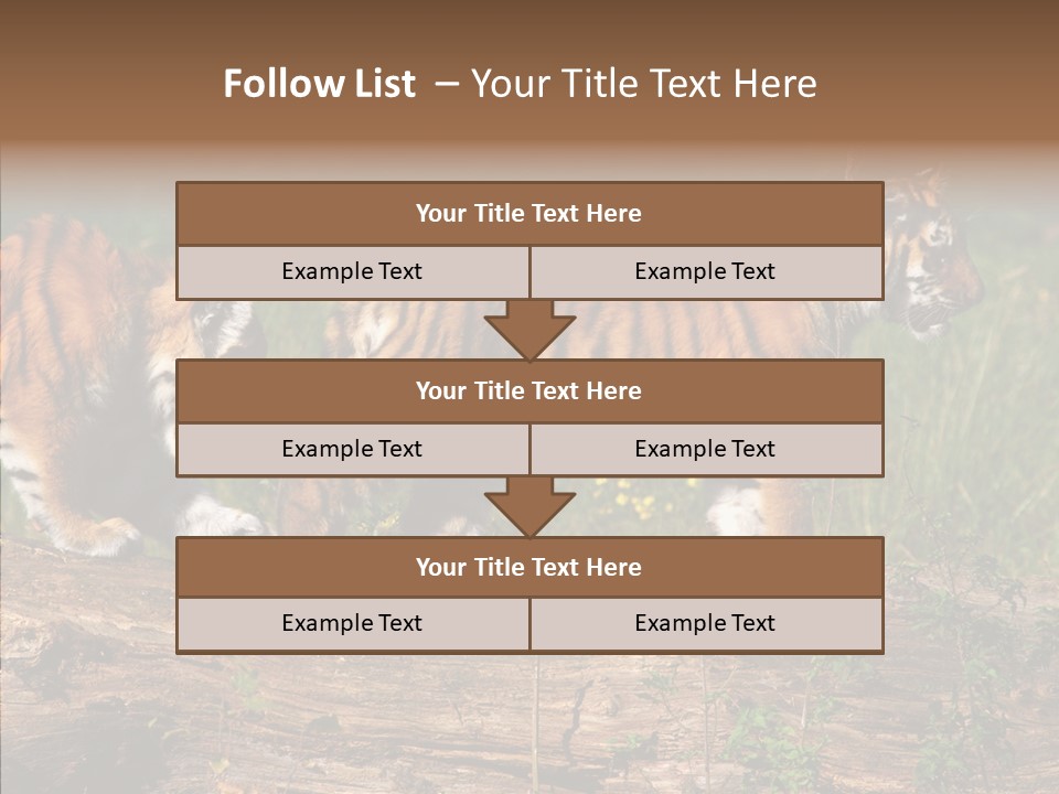 Sportive Asia Siberian PowerPoint Template