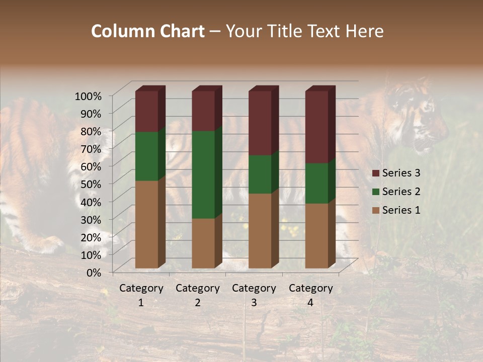 Sportive Asia Siberian PowerPoint Template