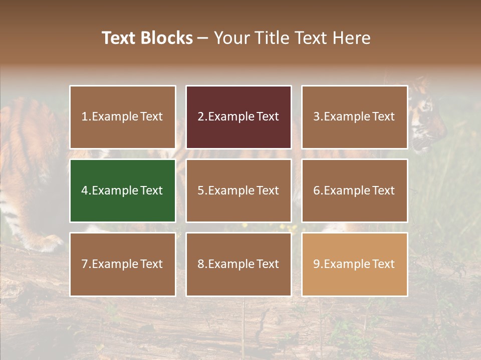 Sportive Asia Siberian PowerPoint Template