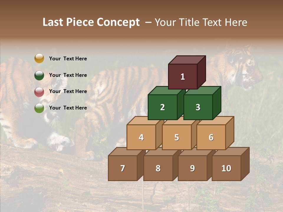 Sportive Asia Siberian PowerPoint Template