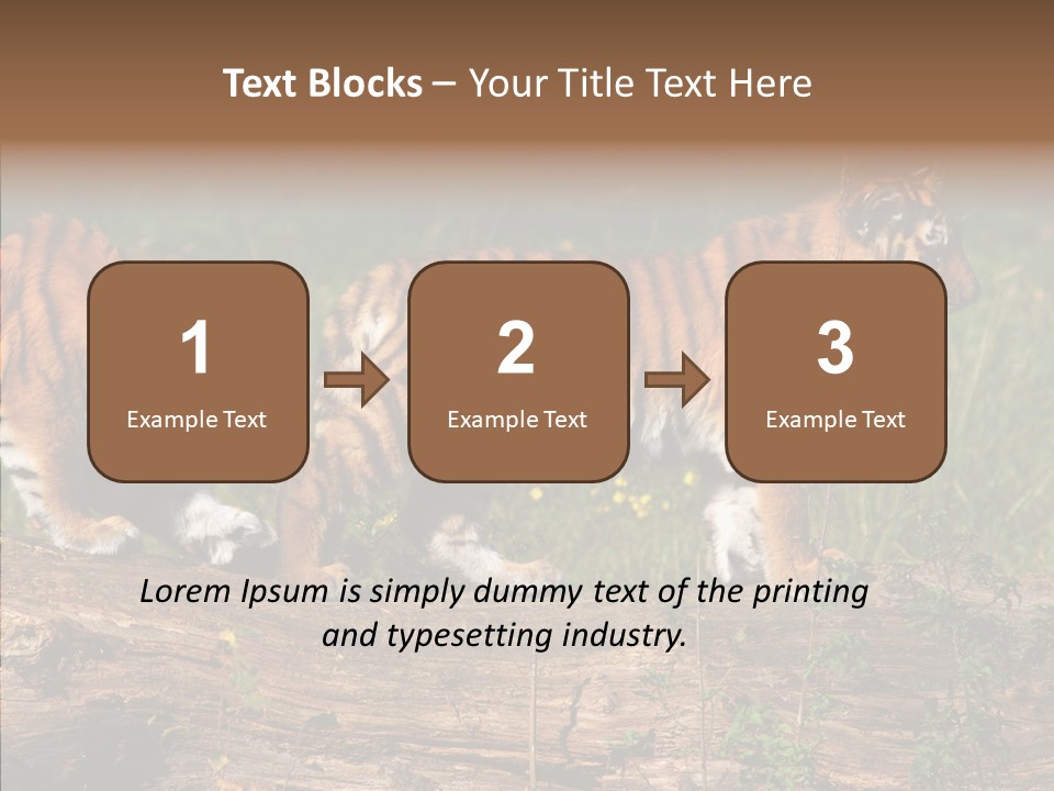 Sportive Asia Siberian PowerPoint Template