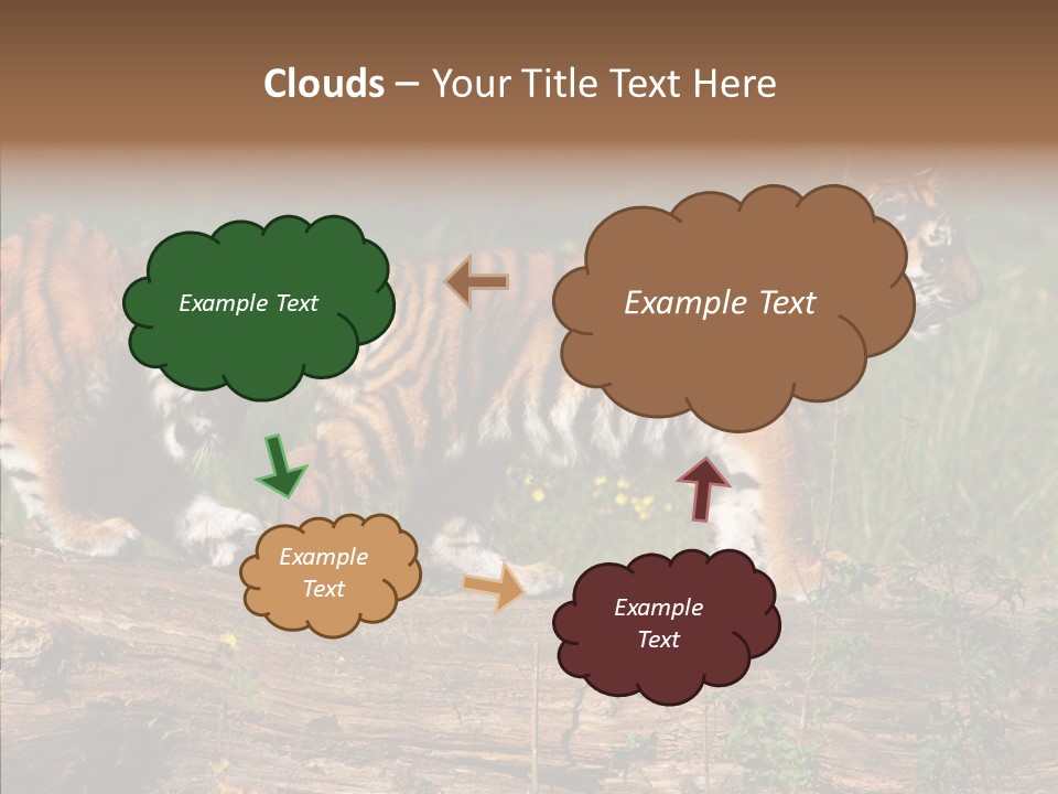 Sportive Asia Siberian PowerPoint Template