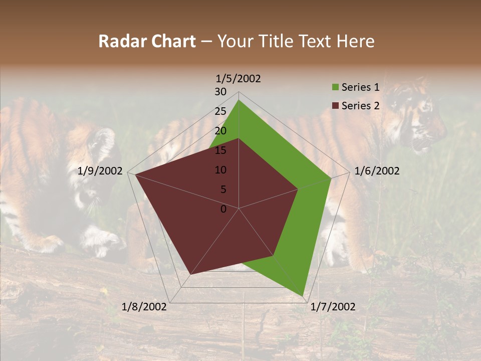 Sportive Asia Siberian PowerPoint Template