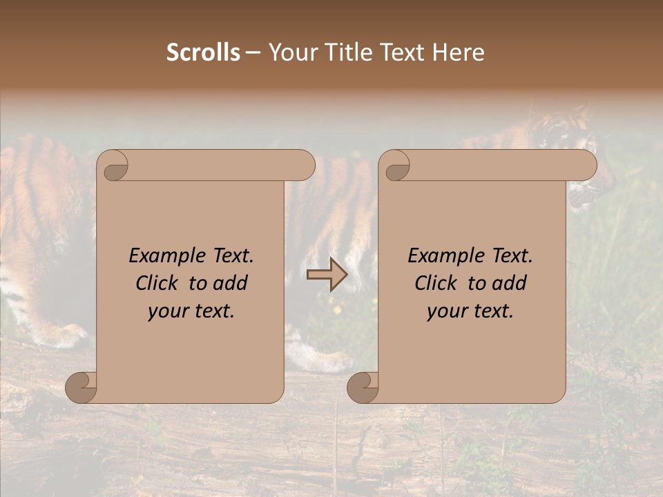 Sportive Asia Siberian PowerPoint Template