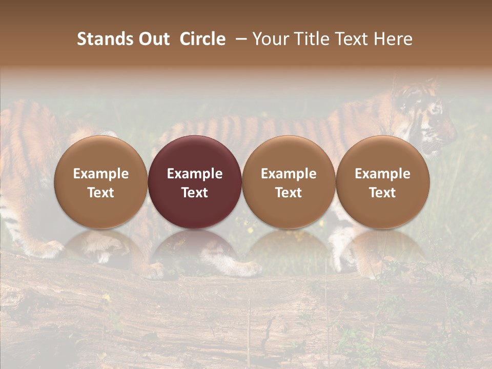 Sportive Asia Siberian PowerPoint Template