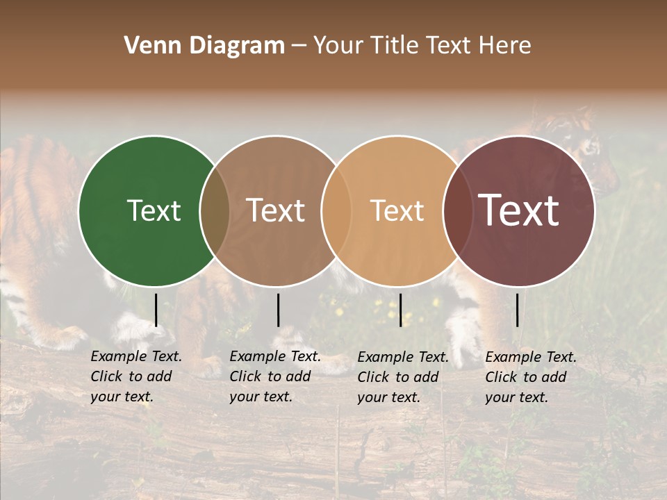 Sportive Asia Siberian PowerPoint Template