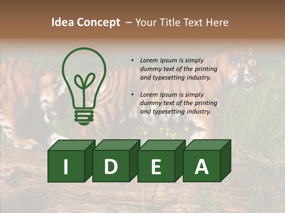 Sportive Asia Siberian PowerPoint Template