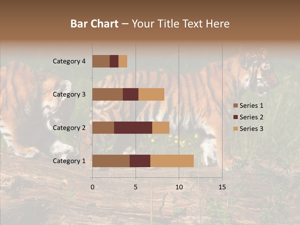 Sportive Asia Siberian PowerPoint Template