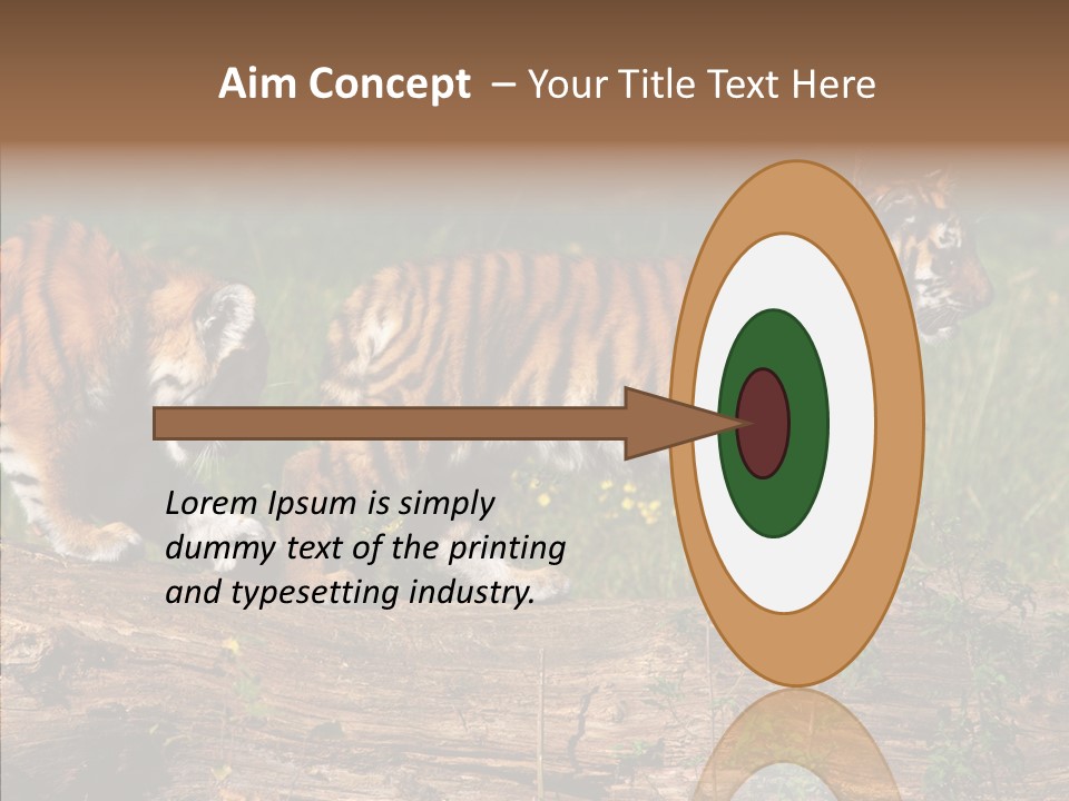 Sportive Asia Siberian PowerPoint Template