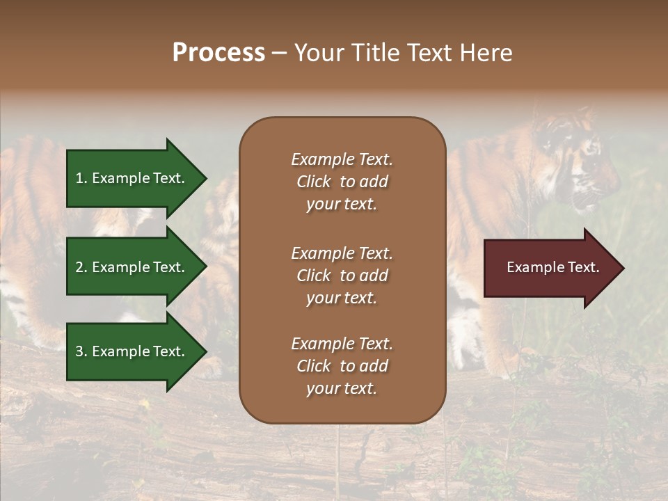 Sportive Asia Siberian PowerPoint Template