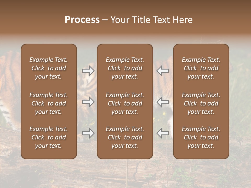 Sportive Asia Siberian PowerPoint Template