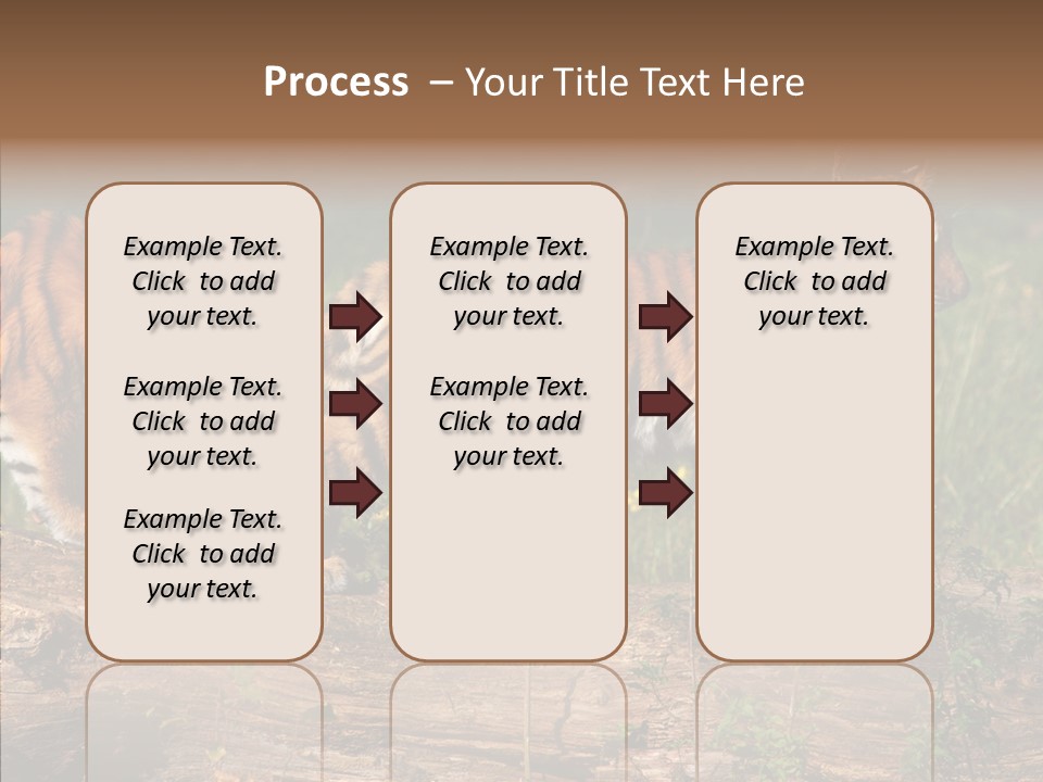 Sportive Asia Siberian PowerPoint Template