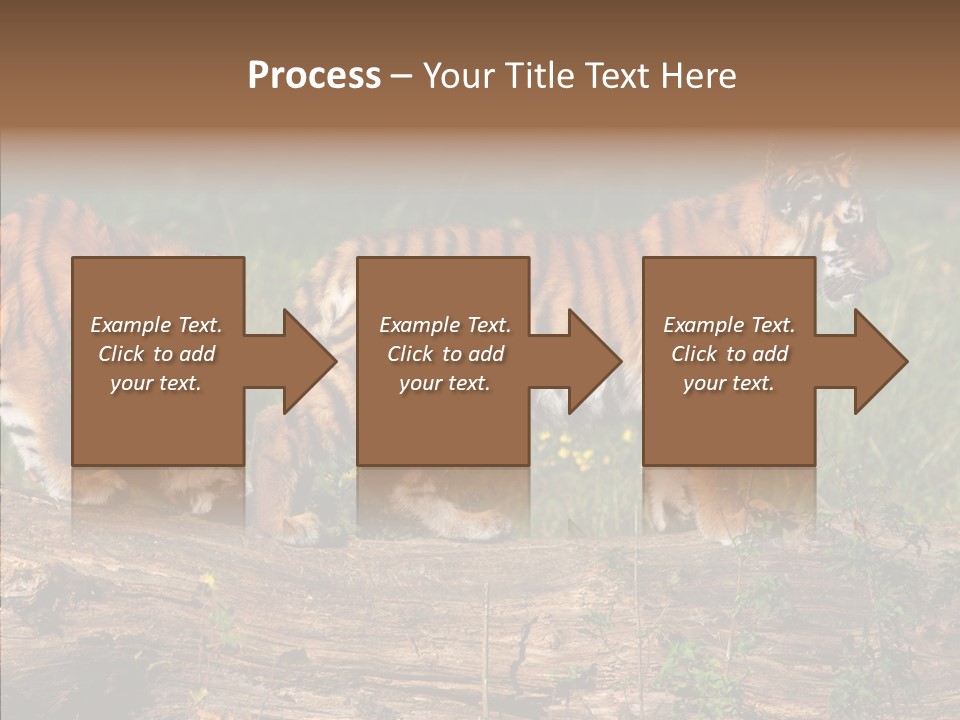 Sportive Asia Siberian PowerPoint Template