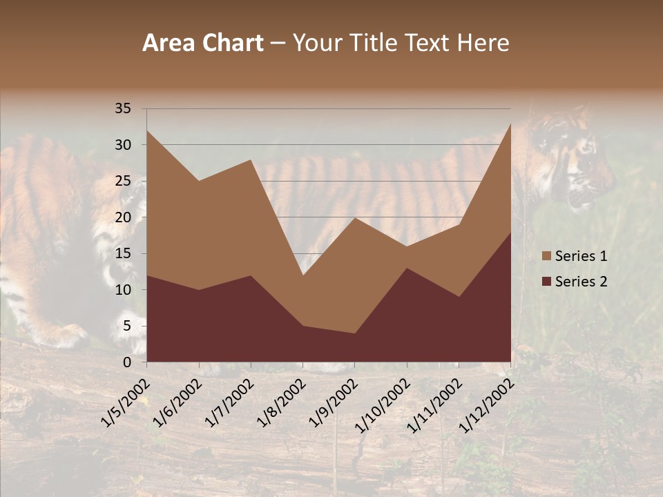 Sportive Asia Siberian PowerPoint Template