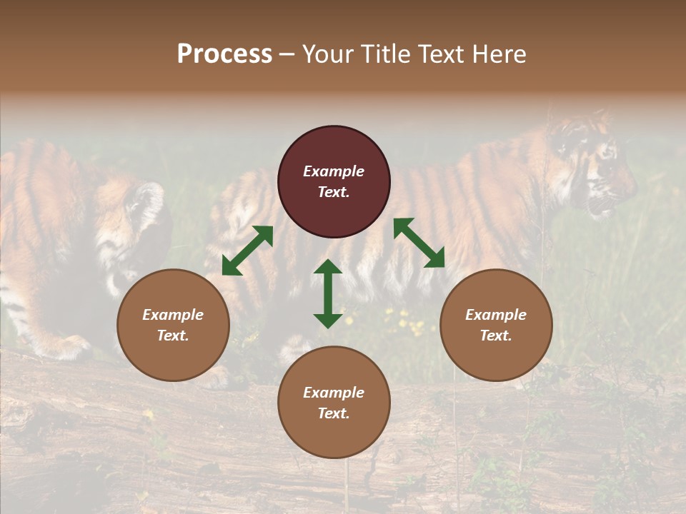 Sportive Asia Siberian PowerPoint Template