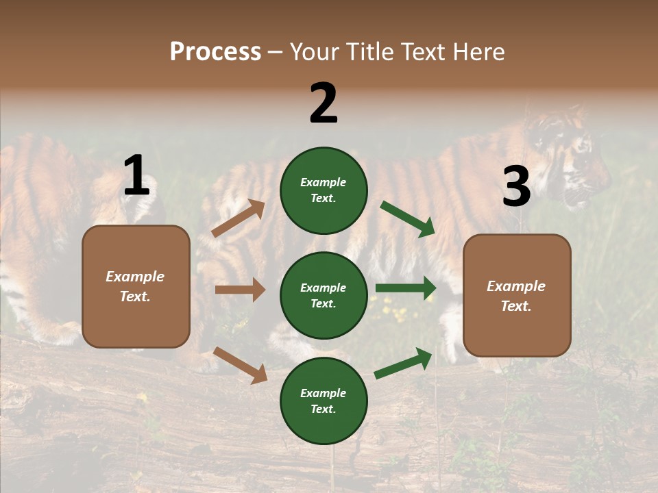 Sportive Asia Siberian PowerPoint Template
