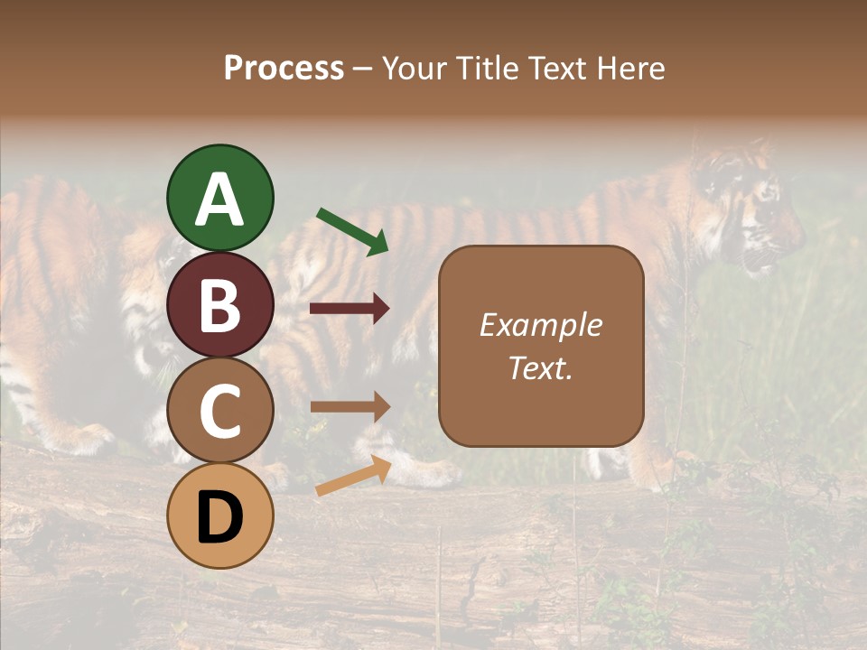 Sportive Asia Siberian PowerPoint Template