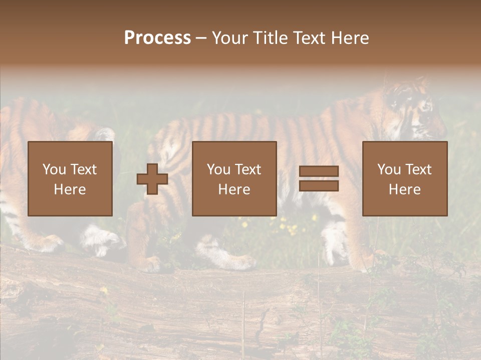 Sportive Asia Siberian PowerPoint Template