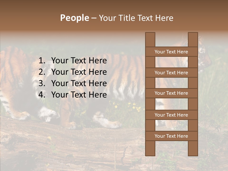 Sportive Asia Siberian PowerPoint Template