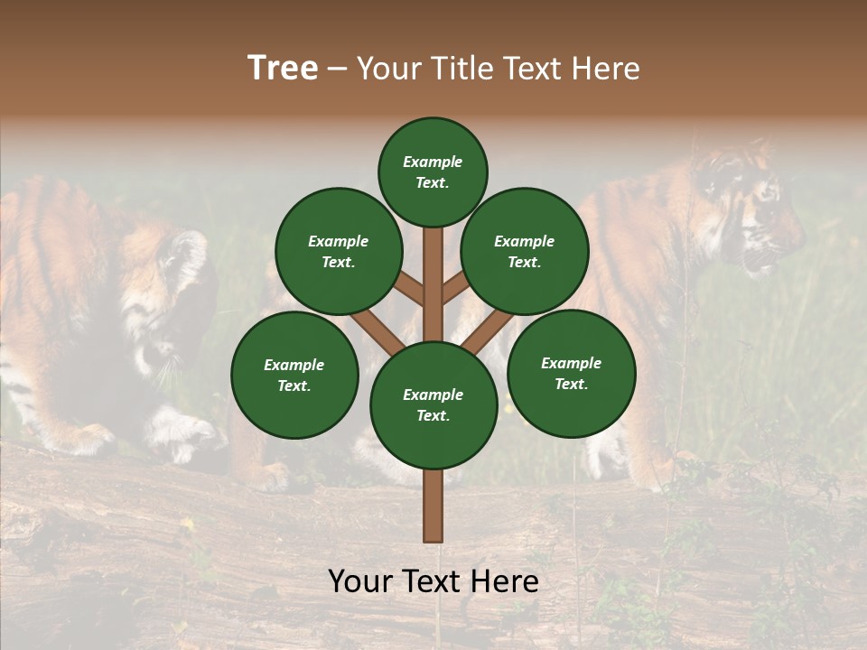 Sportive Asia Siberian PowerPoint Template