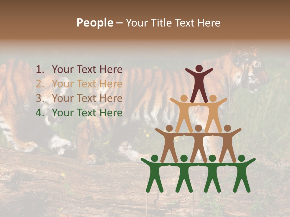 Sportive Asia Siberian PowerPoint Template