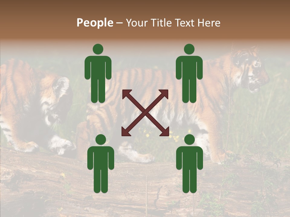 Sportive Asia Siberian PowerPoint Template