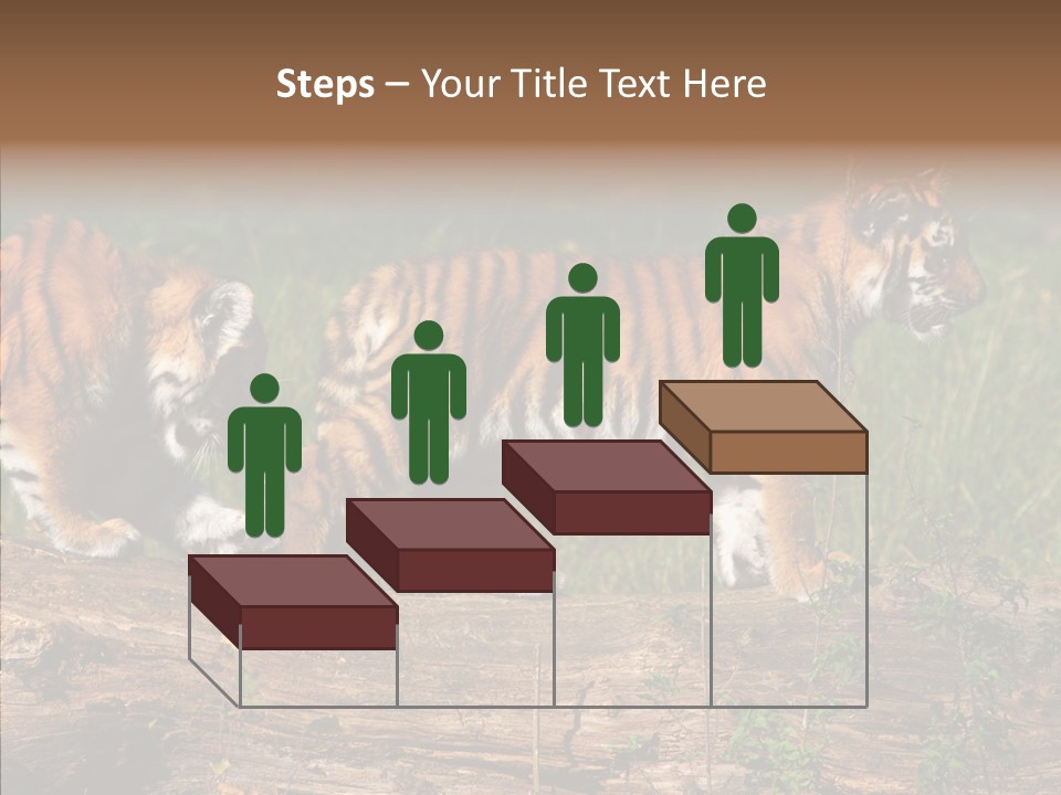 Sportive Asia Siberian PowerPoint Template