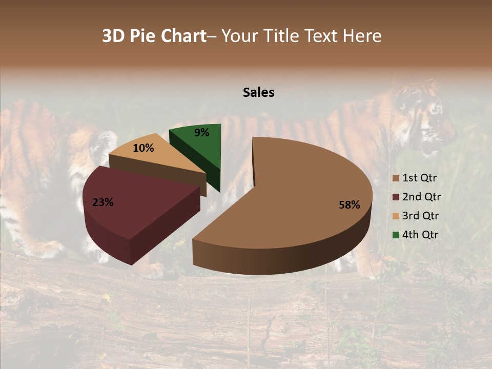 Sportive Asia Siberian PowerPoint Template