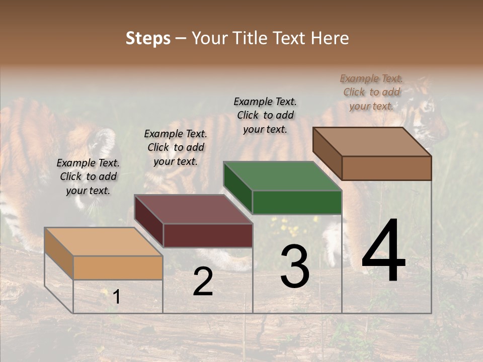 Sportive Asia Siberian PowerPoint Template