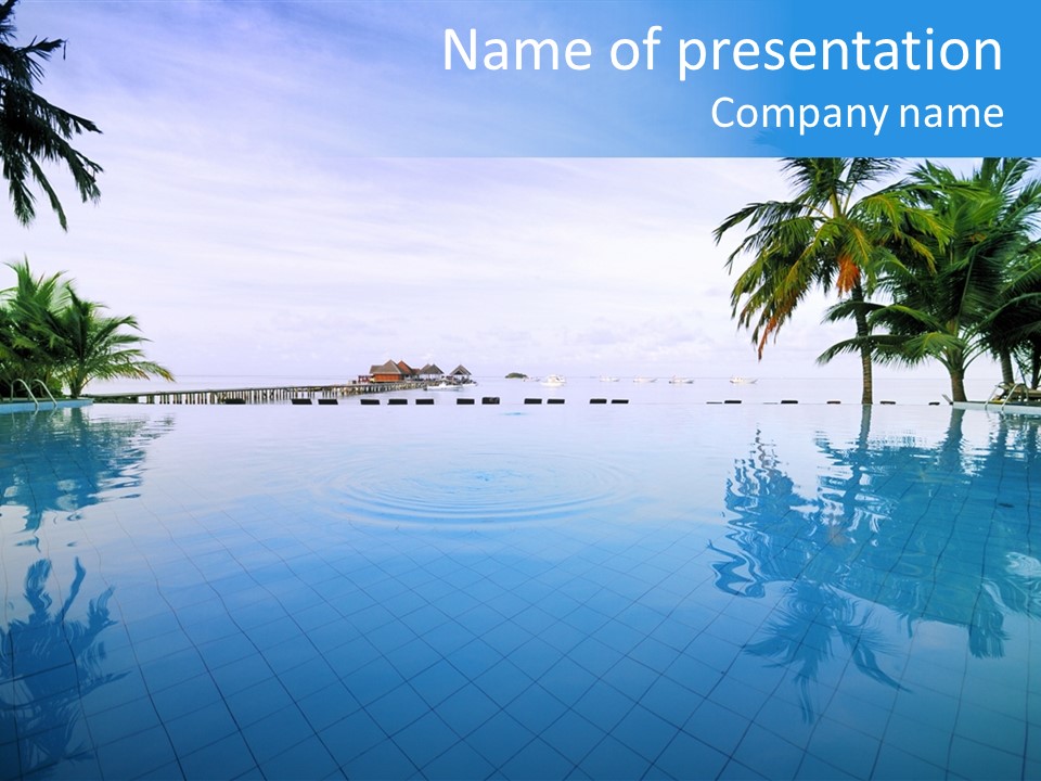 Tree Aqua Coconut PowerPoint Template