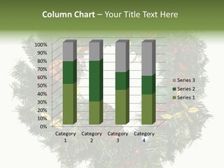 Christmas Evergreen Natural PowerPoint Template