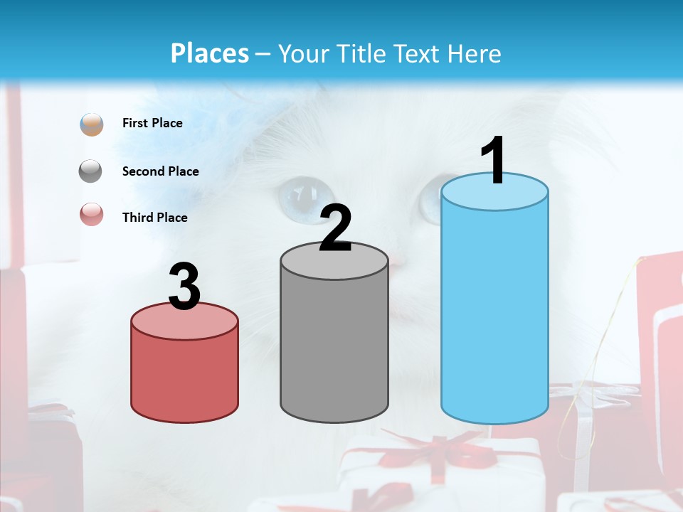 Fun Feline Cat PowerPoint Template