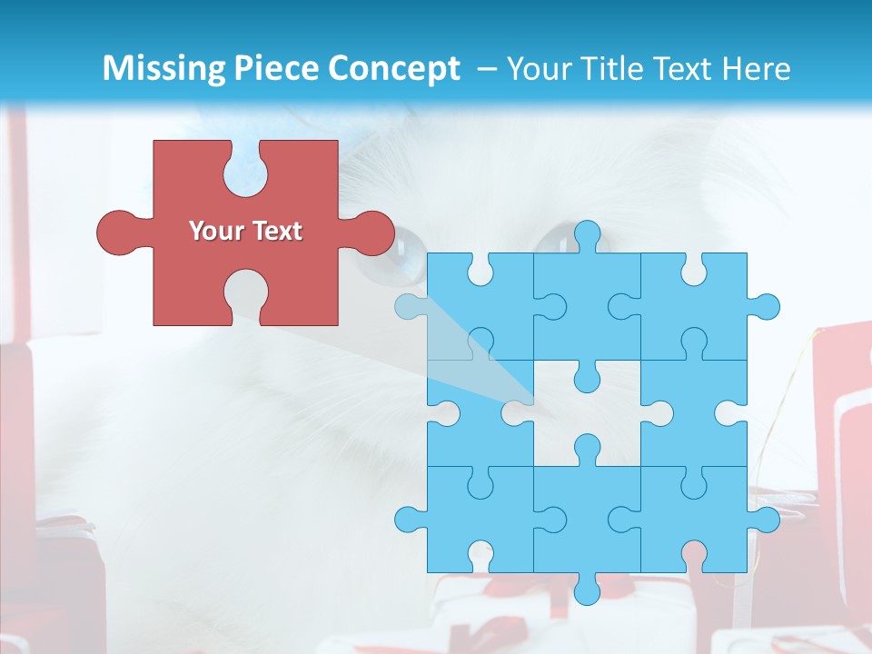 Fun Feline Cat PowerPoint Template