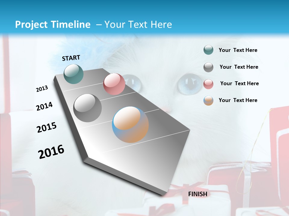 Fun Feline Cat PowerPoint Template