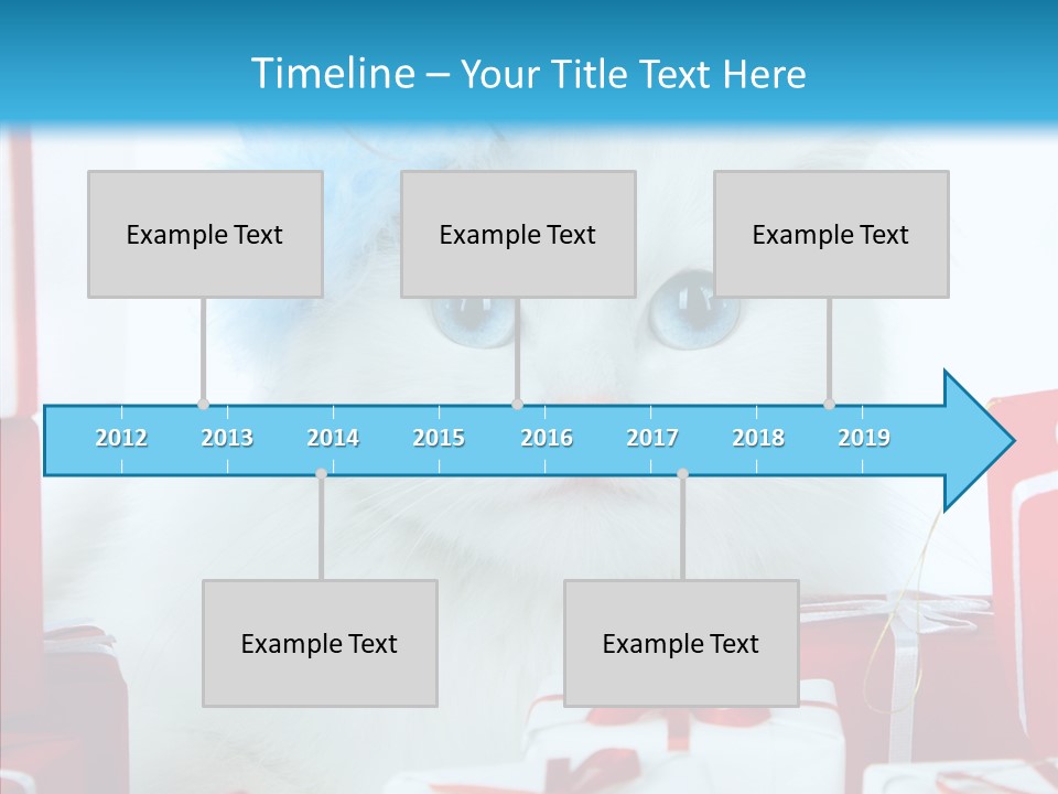 Fun Feline Cat PowerPoint Template
