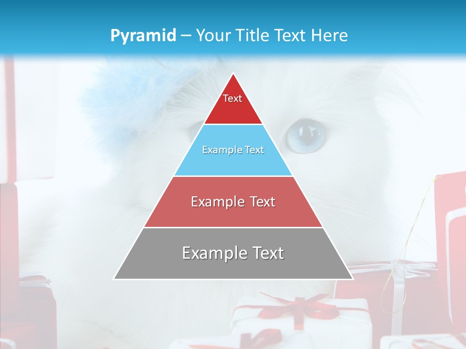 Fun Feline Cat PowerPoint Template