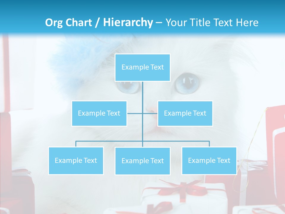 Fun Feline Cat PowerPoint Template