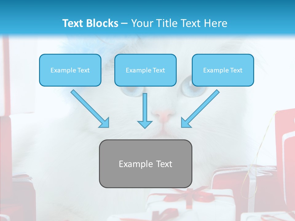 Fun Feline Cat PowerPoint Template