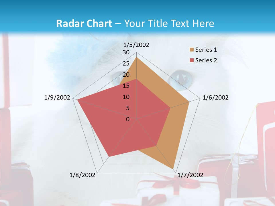 Fun Feline Cat PowerPoint Template