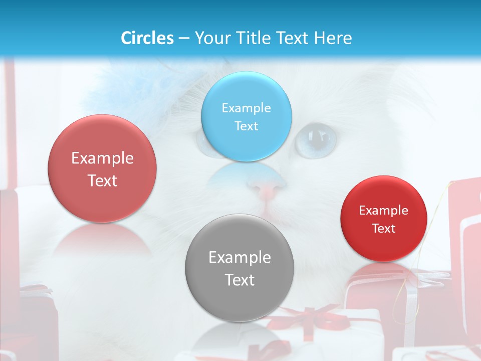 Fun Feline Cat PowerPoint Template