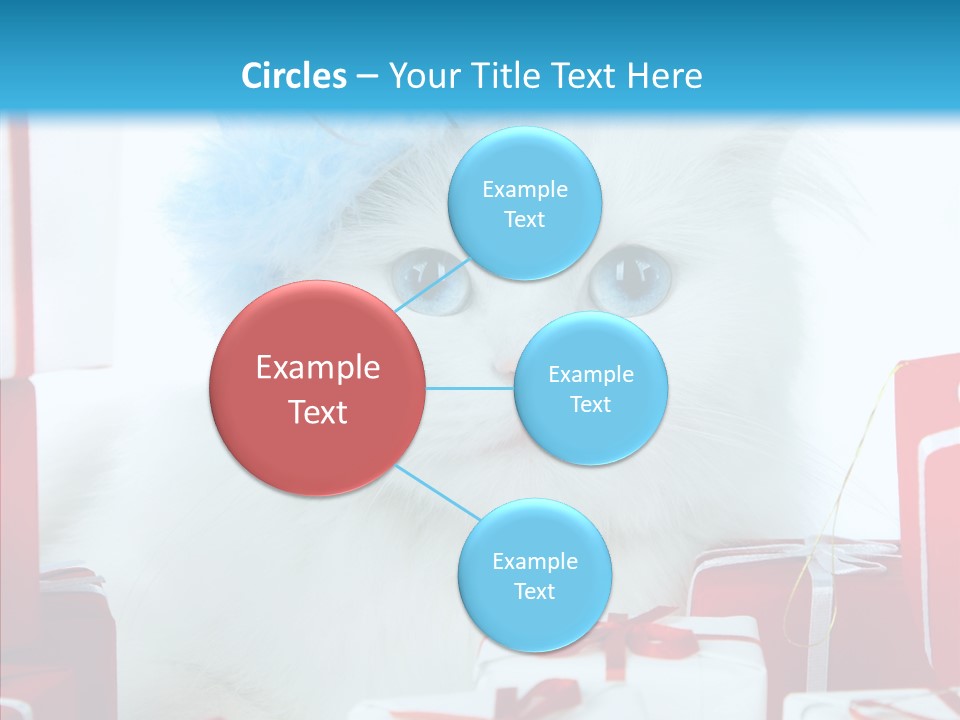 Fun Feline Cat PowerPoint Template