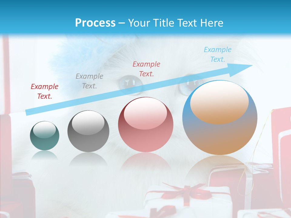 Fun Feline Cat PowerPoint Template