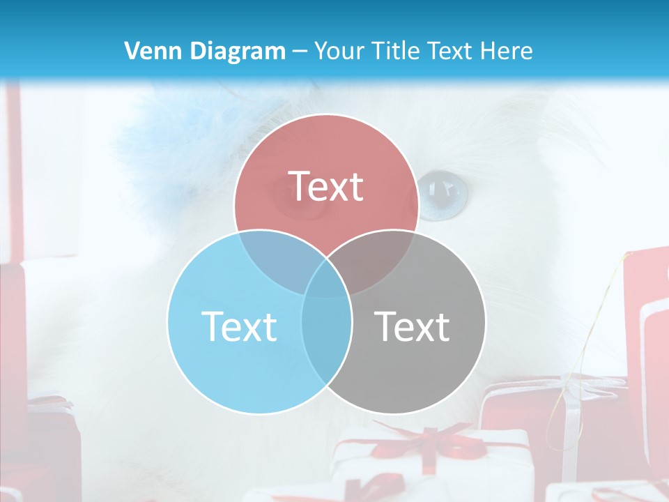 Fun Feline Cat PowerPoint Template